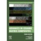 Advances in Ceramic Matrix Composites