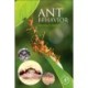 Ant Behavior