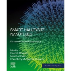 Smart Halloysite Nanotubes: Fundamentals and Applications