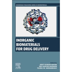 Inorganic Biomaterials for Drug Delivery