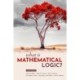 What Is Mathematical Logic?