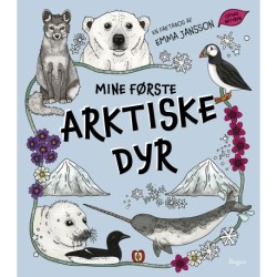 Mine første arktiske dyr