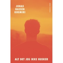 Alt det jeg ikke husker