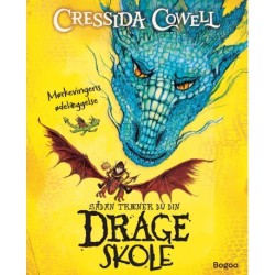 Sådan træner du din drage - skole: Mørkevingens ødelæggelse