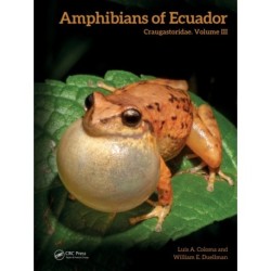 Amphibians of Ecuador: Craugastoridae