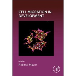 Cell Migration in Development