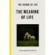 The Meaning of Life: the true ingredients of fulfilment