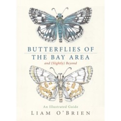 Butterflies of the Bay Area and (Slightly) Beyond: An Illustrated Guide