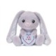 Love Hearts 7" Baby Boy Bunny Plush Gift