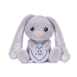 Love Hearts 7" Baby Boy Bunny Plush Gift