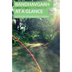 Bandhavgarh at a Glance