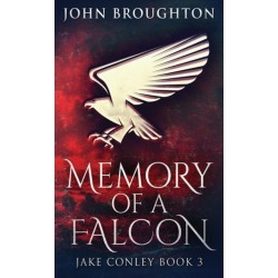 Memory Of A Falcon