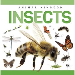 Insects