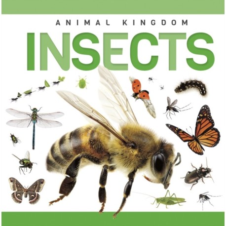 Insects