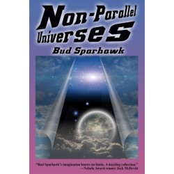 Non-Parallel Universes