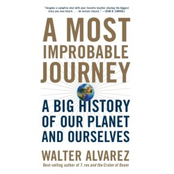 A Most Improbable Journey: A Big History of Our Planet and Ourselves