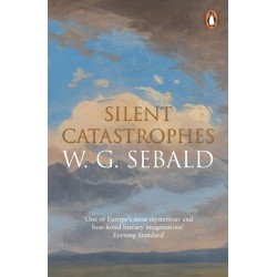 Silent Catastrophes: Essays in Austrian Literature