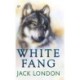 White Fang