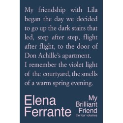 The My Brilliant Friend: The Four Volumes: Special Edition