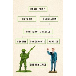 Resilience Beyond Rebellion: How Today's Rebels Become Tomorrow's Parties