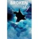 Broken Sky