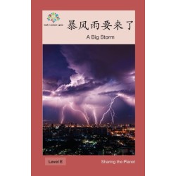 &-26292-&-39118-&-38632-&-35201-&-26469-&-20102-: A Big Storm