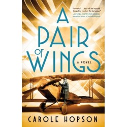 A Pair of Wings: A Novel