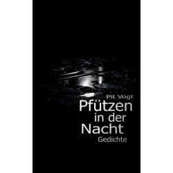 Pfutzen in der Nacht: Gedichte