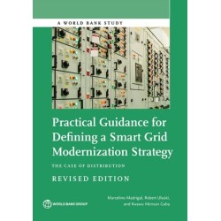 Practical Guidance for Defining a Smart Grid Modernization Strategy: The Case of Distribution