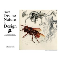 From Divine Nature to Design 2: A Look Into Creativity Beyond Human Imagination