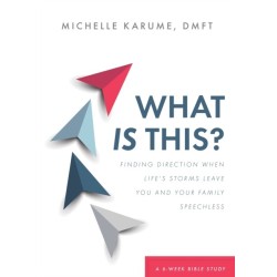 What Is This?: Finding Direction When Life's Storms Leave You and Your Family Speechless