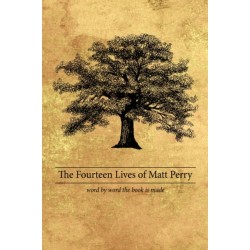 The Fourteen Lives of Matt Perry