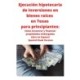 Ejecucion hipotecaria de inversiones en bienes raices en Texas para principiantes: Como encontrar y financiar propiedades embargadas Libro en Espanol Spanish Book Version