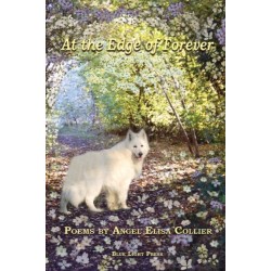 At The Edge Of Forever