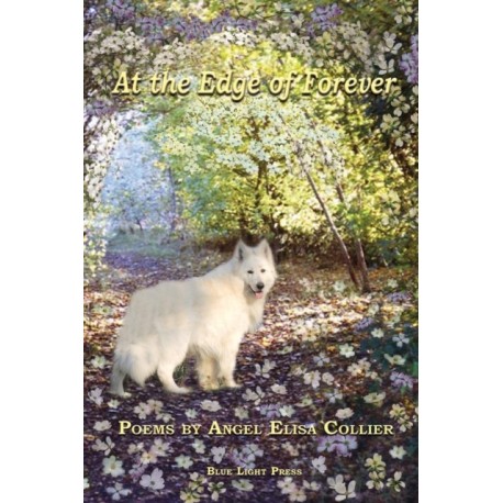 At The Edge Of Forever