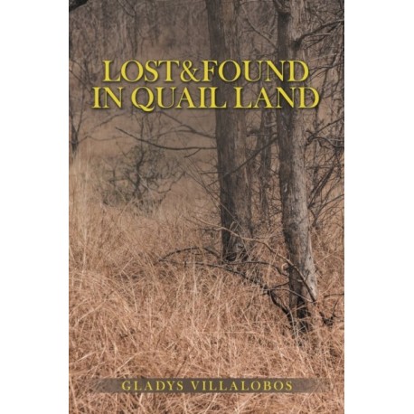 Lost&Found in Quail Land