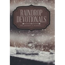Raindrop Devotionals: Volume Two