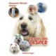 Awesome Miracle Stories: Therapy Dog Casper