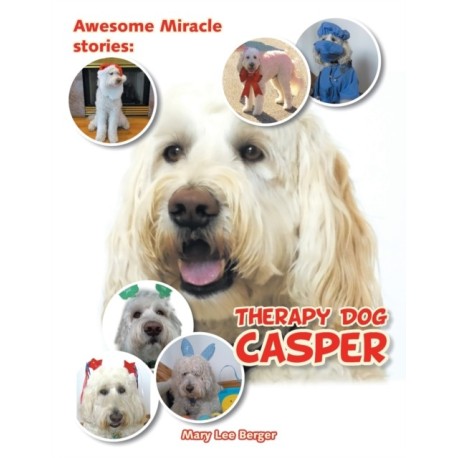 Awesome Miracle Stories: Therapy Dog Casper