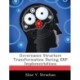 Governance Structure Transformation During ERP Implementations