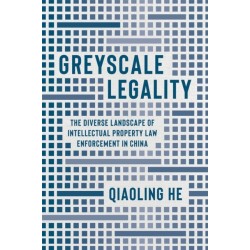 Greyscale Legality: The Diverse Landscape of Intellectual Property Law Enforcement in China
