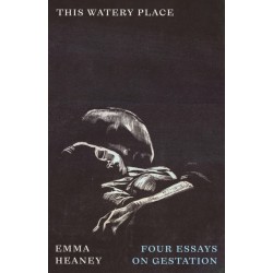 This Watery Place: Four Essays on Gestation