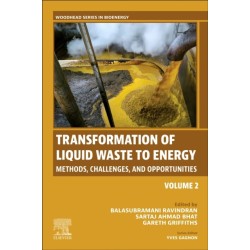 Transformation of Liquid Waste to Energy: Methods, Challenges, and Opportunities