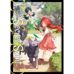 A Tale of the Secret Saint ZERO (Light Novel) Vol. 3