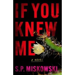 If You Knew Me: A Novel
