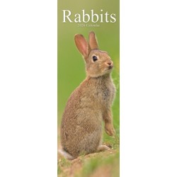 Rabbits Slim Calendar 2026  Cute Slimline Calendar - 12 Month