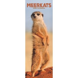 Meerkats  Slim Calendar 2026 Cute Slimline Calendar - 12 Month