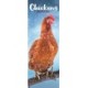 Chickens Slim Calendar 2026  Bird Slimline Calendar - 12 Month
