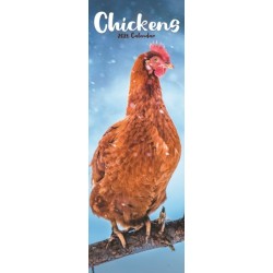 Chickens Slim Calendar 2026  Bird Slimline Calendar - 12 Month