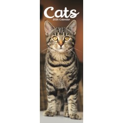 Cats Slim Calendar 2026  Cute Slimline Calendar - 12 Month
